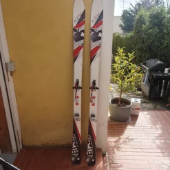 MOVEMENT Black Apple